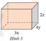 Toán 8 Bài 1 (Chân trời sáng tạo): Đơn thức và đa thức nhiều biến (ảnh 1)