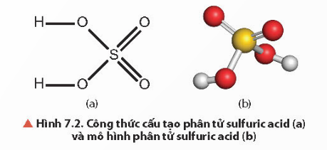  (ảnh 1)