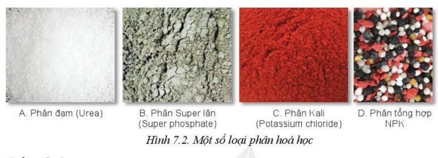 Lý thuyết Công nghệ 10 Bài 7: Một số loại phân bón thường dùng trong trồng trọt - Cánh diều  (ảnh 1)