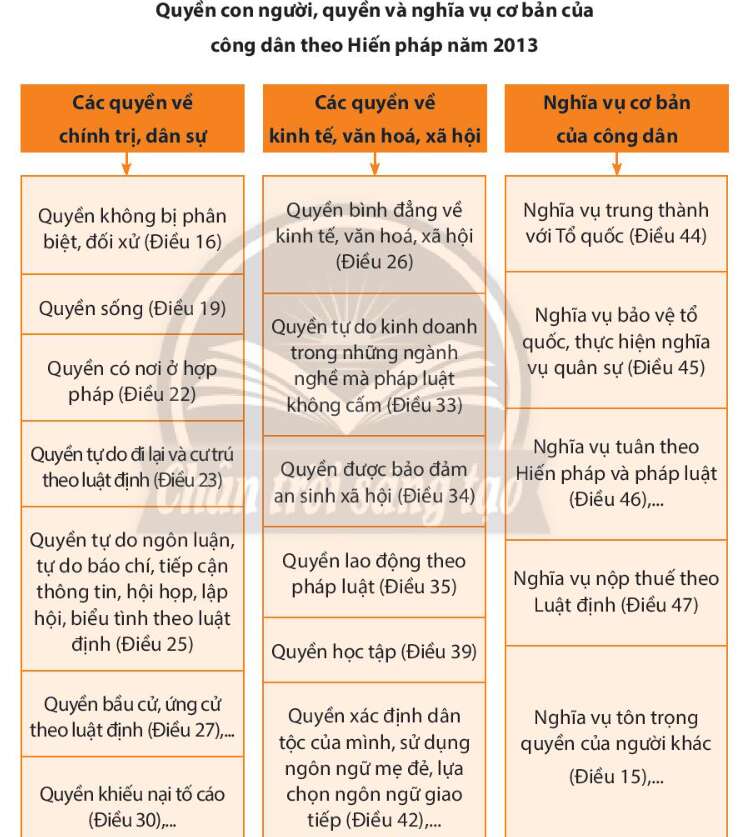 Pháp luật 10 Bài 22: Nội dung cơ bản của Hiến pháp nước Cộng hòa xã hội chủ nghĩa Việt nam năm 2013 về quyền con người, quyền và nghĩa vụ cơ bản của công dân | Chân trời sáng tạo (ảnh 4)