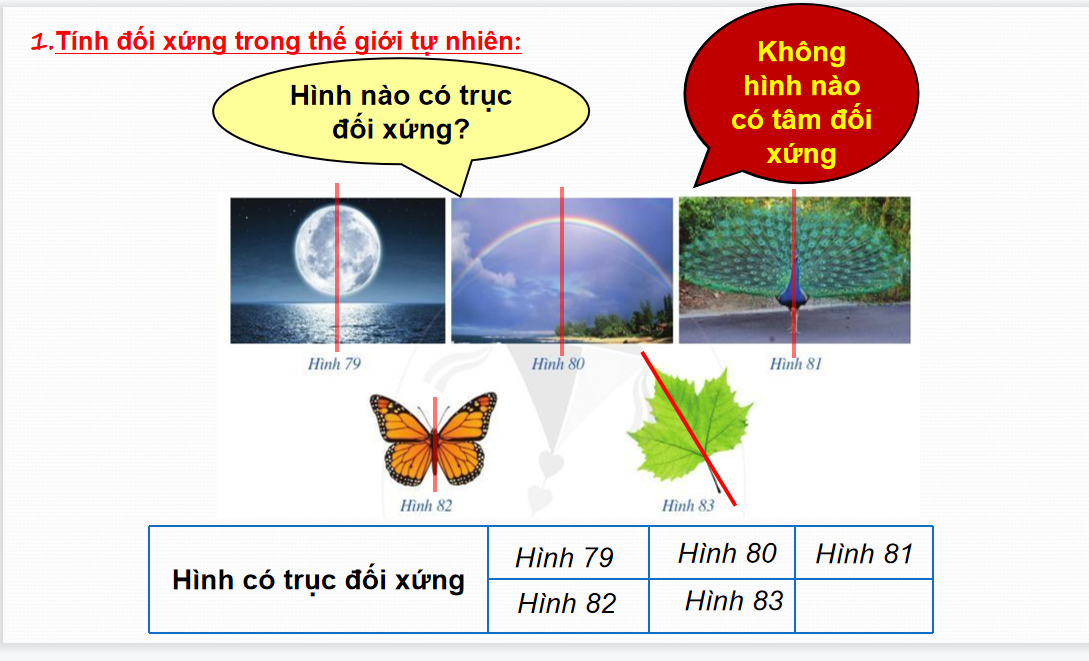 Giáo án điện tử Đối xứng trong thực tiễn| Bài giảng PPT Toán 6 (ảnh 1)