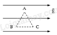 Bộ 10 đề thi giữa kì 1 Vật lí 11 Kết nối tri thức có đáp án năm 2023 (ảnh 1)