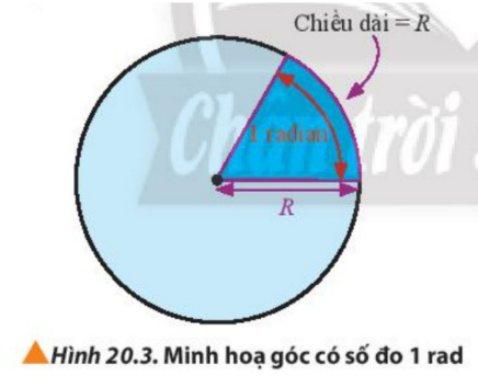 Giáo án Vật lí 10 Bài 20 (Chân trời sáng tạo 2023): Động học của chuyển động tròn (ảnh 1)