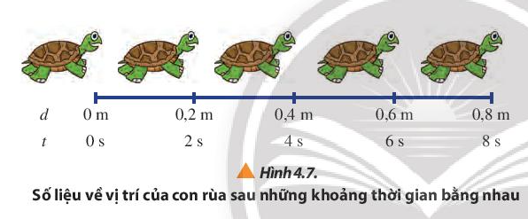 Vật Lí 10 Bài 4: Chuyển động thẳng | Giải Lí 10 Chân trời sáng tạo (ảnh 8)