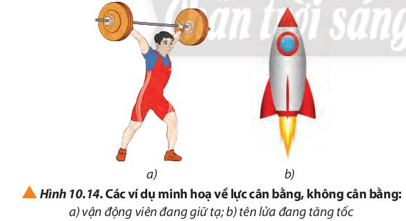 Vật Lí 10 Bài 10: Ba định luật Newton về chuyển động | Giải Lí 10 Chân trời sáng tạo (ảnh 8)