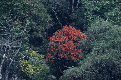 Lý thuyết Bài 18: Quy luật địa đới và quy luật phi địa đới - Chân trời sáng tạo (ảnh 1)