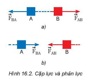 Vật Lí 10 Bài 16: Định luật 3 Newton | Giải Lí 10 Kết nối tri thức (ảnh 2)