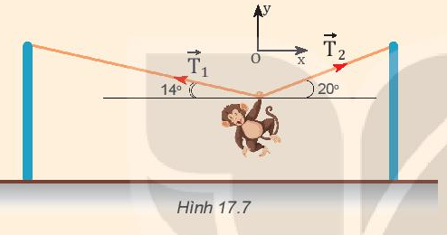 Vật Lí 10 Bài 17: Trọng lực và lực căng | Giải Lí 10 Kết nối tri thức (ảnh 8)