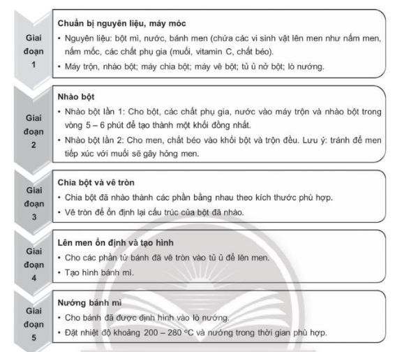 Giải Sách bài tập Sinh học 10 trang 80 - Chân trời sáng tạo (ảnh 1)