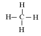 Sách bài tập Hóa học 10 Bài 13 (Kết nối tri thức): Liên kết hydrogen và tương tác van der Waals  (ảnh 1)