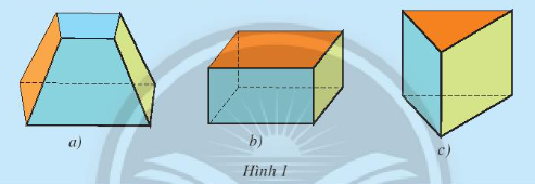 Giáo án Toán 7 Bài 1 (Chân trời sáng tạo 2023): Hình hộp chữ nhật – Hình lập phương (ảnh 1)