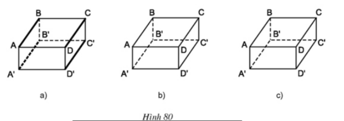 Giải Câu 5 Bài 2: Hình hộp chữ nhật (tiếp) - sgk Toán 8 tập 2 Trang 100