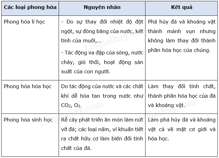 Địa Lí 10 Bài 7: Ngoại lực | Chân trời sáng tạo (ảnh 8)