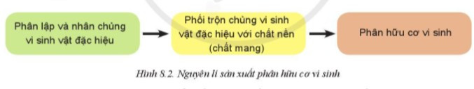 Lý thuyết Công nghệ 10 Bài 8: Ứng dụng công nghệ hiện đại trong sản xuất phân bón - Cánh diều  (ảnh 1)