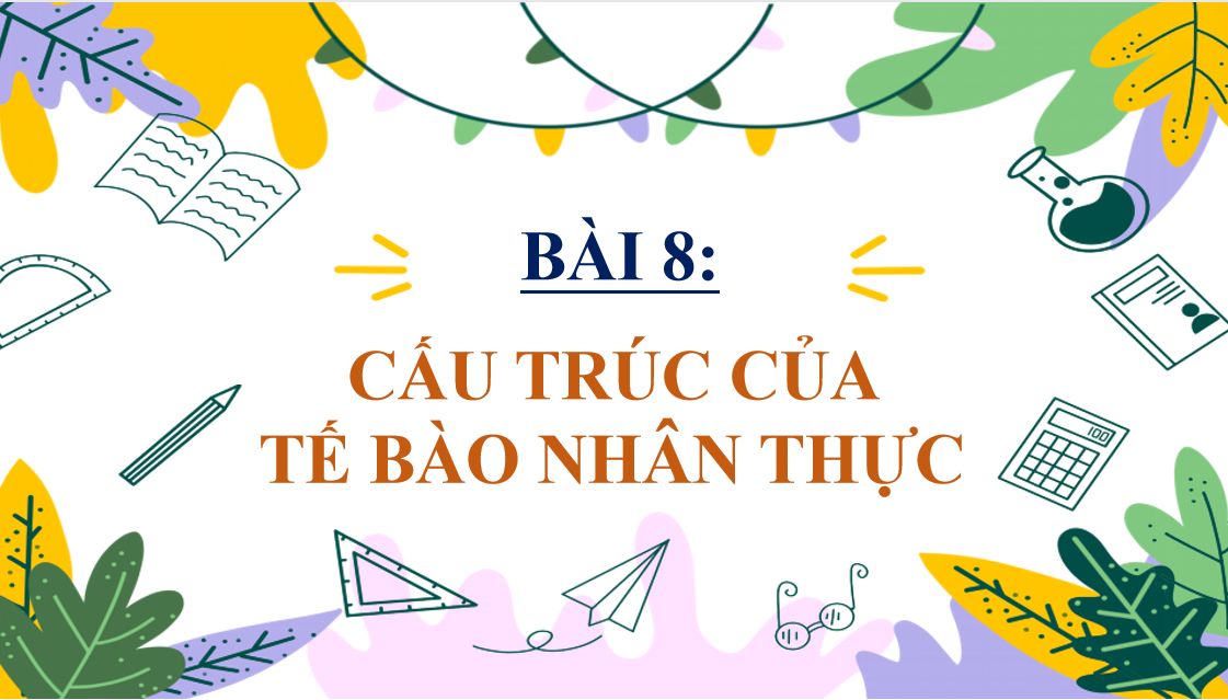 Giáo án điện tử Cấu trúc của tế bào nhân thực | Bài giảng PPT Sinh học 10 (ảnh 1)