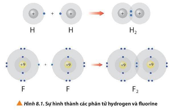 Lý thuyết Hóa học 10 Bài 8: Quy tắc octet - Chân trời sáng tạo (ảnh 1)