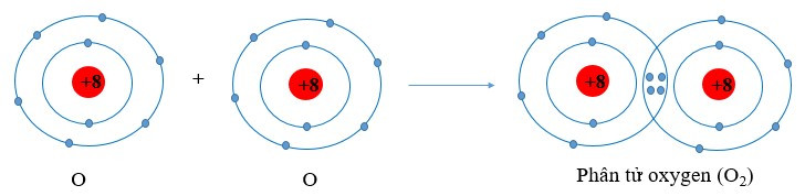 Lý thuyết Hóa học 10 Bài 8: Quy tắc octet - Chân trời sáng tạo (ảnh 1)