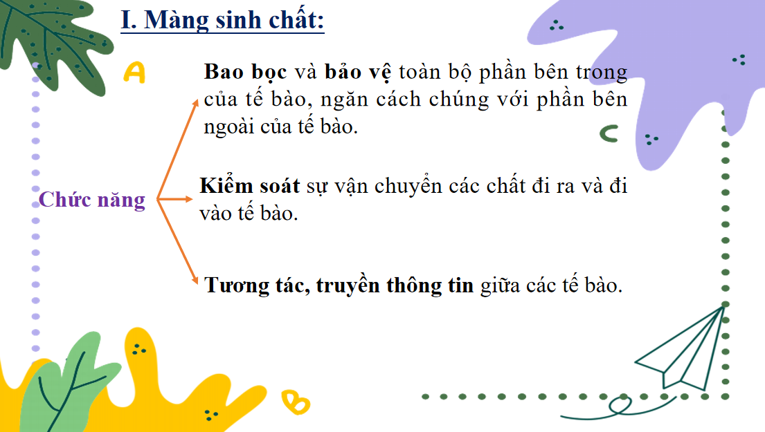 Giáo án điện tử Cấu trúc của tế bào nhân thực | Bài giảng PPT Sinh học 10 (ảnh 1)