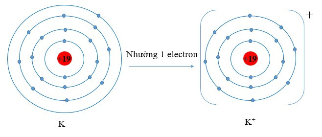 Lý thuyết Hóa học 10 Bài 8: Quy tắc octet - Chân trời sáng tạo (ảnh 1)