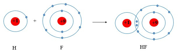 Lý thuyết Hóa học 10 Bài 8: Quy tắc octet - Chân trời sáng tạo (ảnh 1)