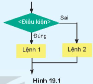 Giáo án Tin học 10 Bài 19 (Kết nối tri thức 2023): Câu lệnh điều kiện if (ảnh 1)