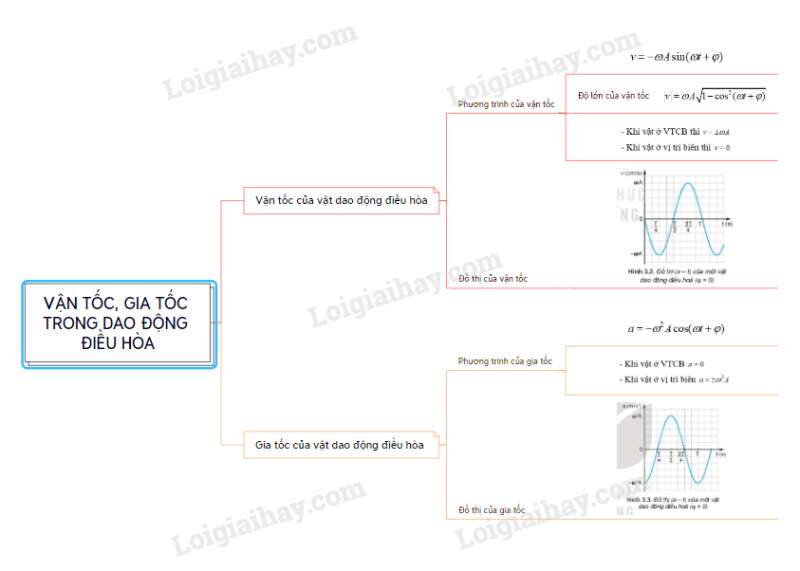 Lý thuyết Vận tốc, gia tốc trong dao động điều hòa (Kết nối tri thức 2023) hay, chi tiết | Vật Lí 11 (ảnh 1)