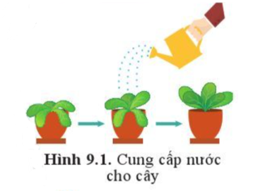 Sinh học 10 Bài 9: Trao đổi chất qua màng sinh chất | Giải Sinh 10 Cánh diều (ảnh 1)