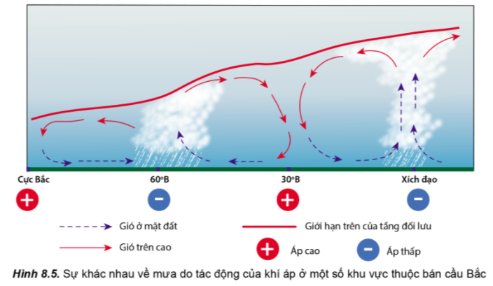 Địa Lí 10 Bài 8: Khí áp, gió và mưa  | Cánh diều (ảnh 6)