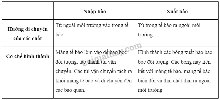 Sinh học 10 Bài 9: Trao đổi chất qua màng sinh chất | Giải Sinh 10 Cánh diều (ảnh 11)