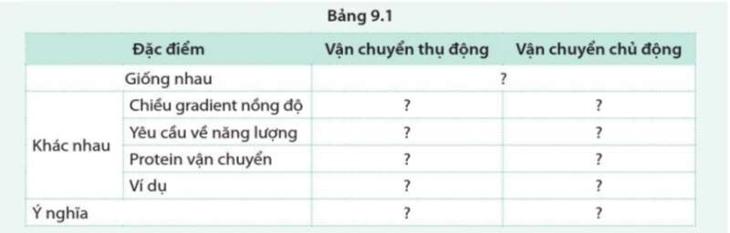 Sinh học 10 Bài 9: Trao đổi chất qua màng sinh chất | Giải Sinh 10 Cánh diều (ảnh 14)