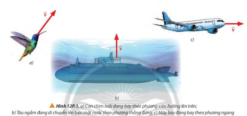 Vật Lí 10 Bài 12: Chuyển động của vật trong chất lưu | Giải Lí 10 Chân trời sáng tạo (ảnh 9)