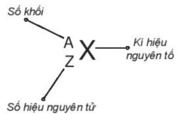 TOP 15 câu Trắc nghiệm Tập hợp có đáp án - Hóa lớp 10 Kết nối tri thức (ảnh 1)