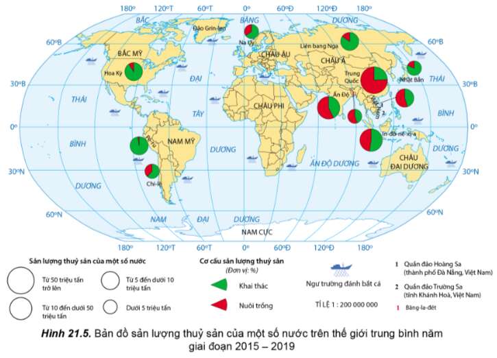 Địa Lí 10 Bài 21: Địa lí các ngành nông nghiệp, lâm nghiệp, thuỷ sản | Cánh diều (ảnh 4)