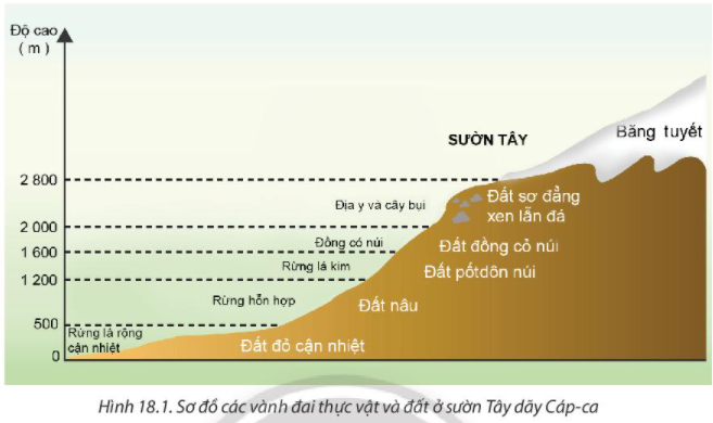 Địa Lí 10 Bài 18: Quy luật địa đới và quy luật phi địa đới | Chân trời sáng tạo (ảnh 1)