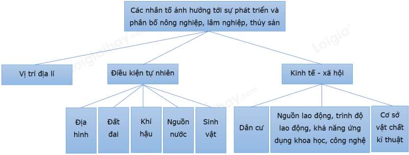 Địa Lí 10 Bài 25: Vai trò, đặc điểm, các nhân tố ảnh hưởng đến sự phát triển và phân bố nông nghiệp, lâm nghiệp, thủy sản | Chân trời sáng tạo (ảnh 1)