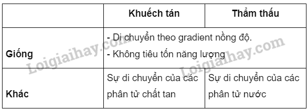 Sinh học 10 Bài 9: Trao đổi chất qua màng sinh chất | Giải Sinh 10 Cánh diều (ảnh 4)