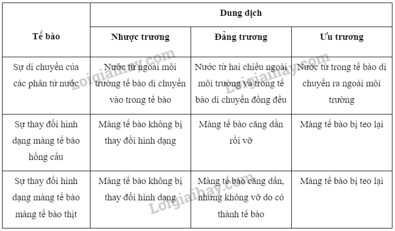 Sinh học 10 Bài 9: Trao đổi chất qua màng sinh chất | Giải Sinh 10 Cánh diều (ảnh 6)