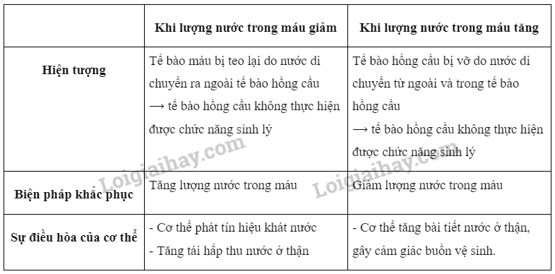 Sinh học 10 Bài 9: Trao đổi chất qua màng sinh chất | Giải Sinh 10 Cánh diều (ảnh 7)