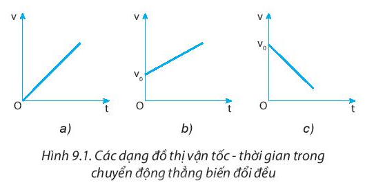  (ảnh 1)