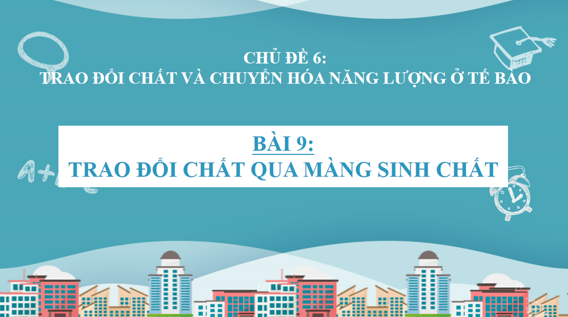 Giáo án điện tử Trao đổi chất qua màng sinh chất | Bài giảng PPT Sinh học 10 (ảnh 1)