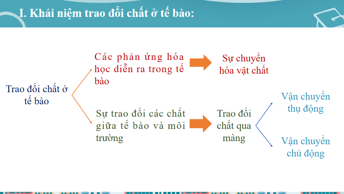 Giáo án điện tử Trao đổi chất qua màng sinh chất | Bài giảng PPT Sinh học 10 (ảnh 1)