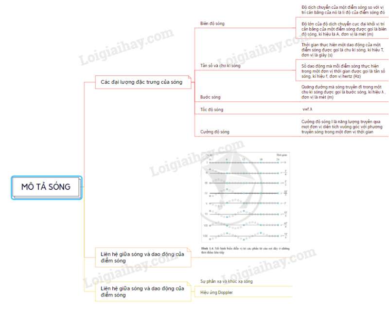 Lý thuyết Mô tả sóng (Cánh diều 2023) hay, chi tiết | Vật Lí 11 (ảnh 3)