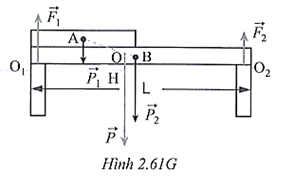 Sách bài tập Vật lí 10 Chủ đề 2: Lực và chuyển động - Cánh diều (ảnh 1)