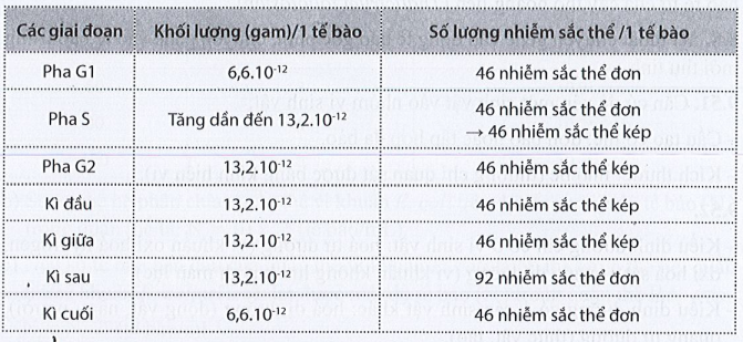 Sách bài tập Sinh học 10 Chủ đề 7: Thông tin giữa các tế bào, chu kì tế bào và phân bào - Cánh diều (ảnh 1)