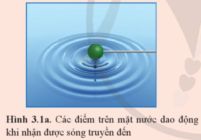 Giáo án Vật lí Bài 3 (Cánh diều 2023): Giao thoa sóng (ảnh 1)