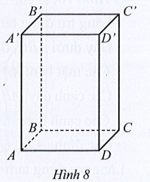 Sách bài tập Toán 7 Bài 1: Hình hộp chữ nhật. Hình lập phương - Cánh diều (ảnh 1)