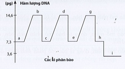 Sách bài tập Sinh học 10 Chủ đề 7: Thông tin giữa các tế bào, chu kì tế bào và phân bào - Cánh diều (ảnh 1)