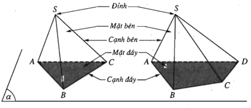 Lý thuyết Đại cương về đường thẳng và mặt phẳng chi tiết – Toán lớp 11 (ảnh 1)