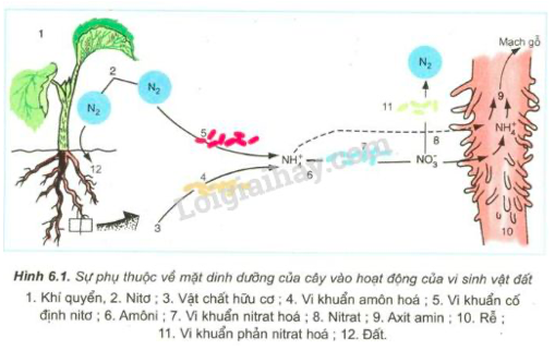 Giải Sinh học 11 Bài 2: Khí hậu châu Á (ảnh 1)