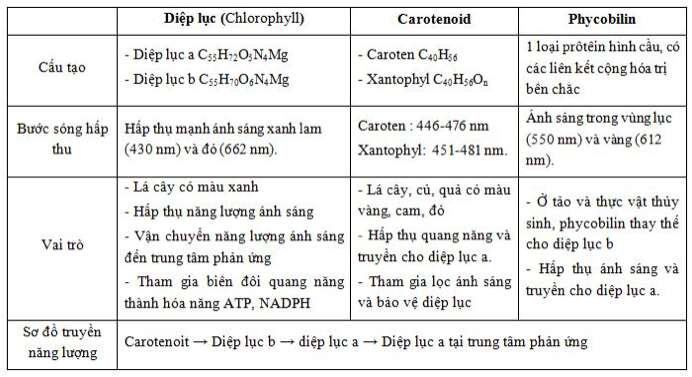 Giải Sinh học 11 Bài 2: Khí hậu châu Á (ảnh 10)